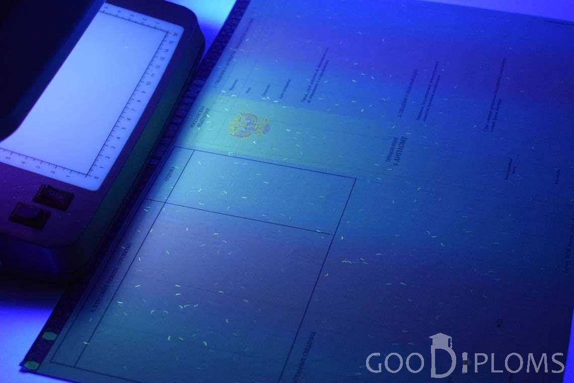 Приложение к Диплому Бакалавра с Отличием в Ультрафиолете период c 2013 по 2025 год - Луцк