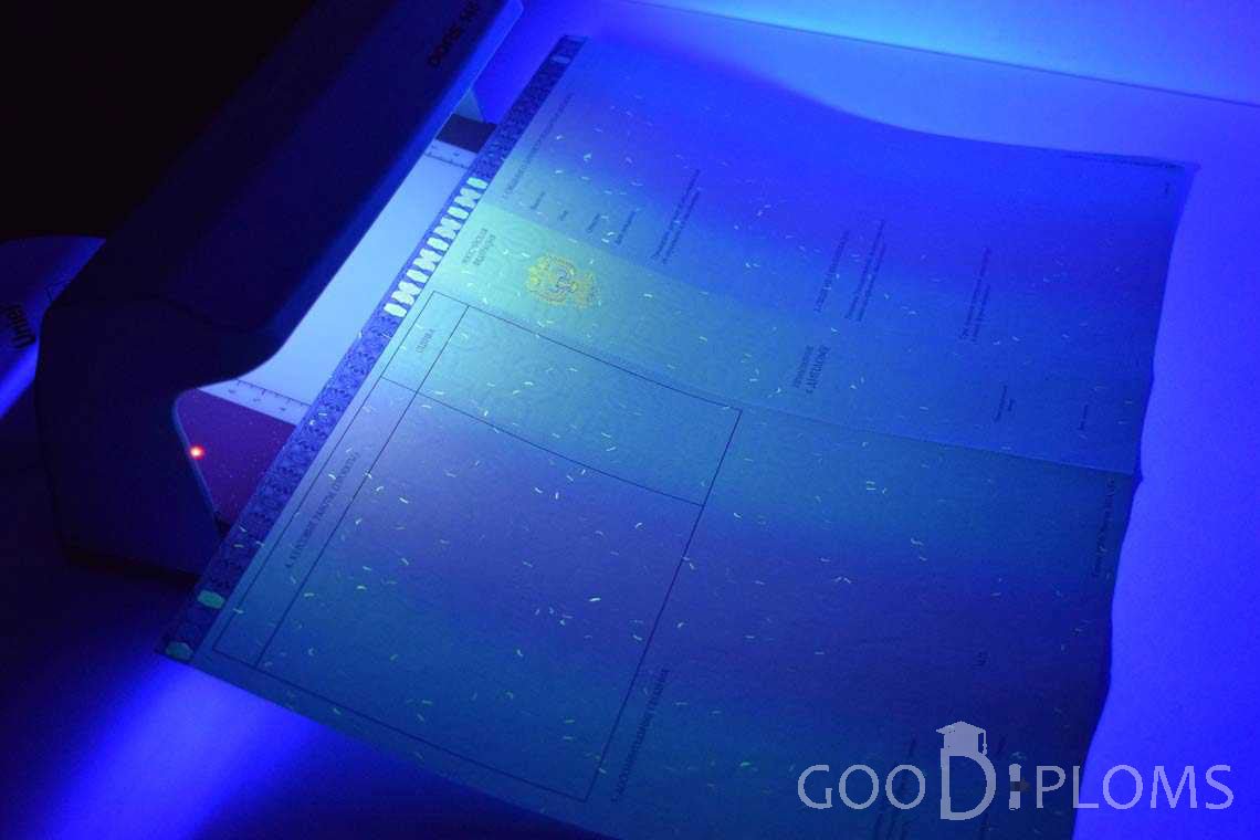 Приложение к Диплому Магистра в Ультрафиолете в период c 2014 по 2025 год - Луцк