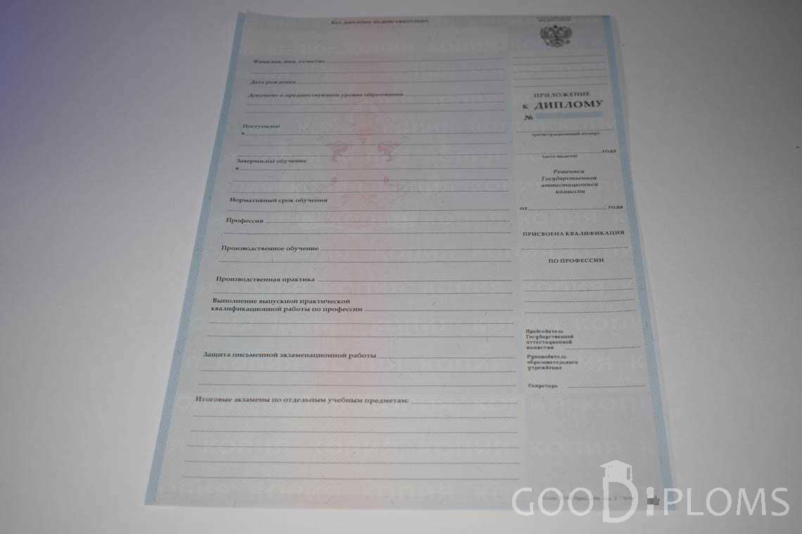 Приложение к Диплому Училища период выдачи 2007-2010  -  Луцк
