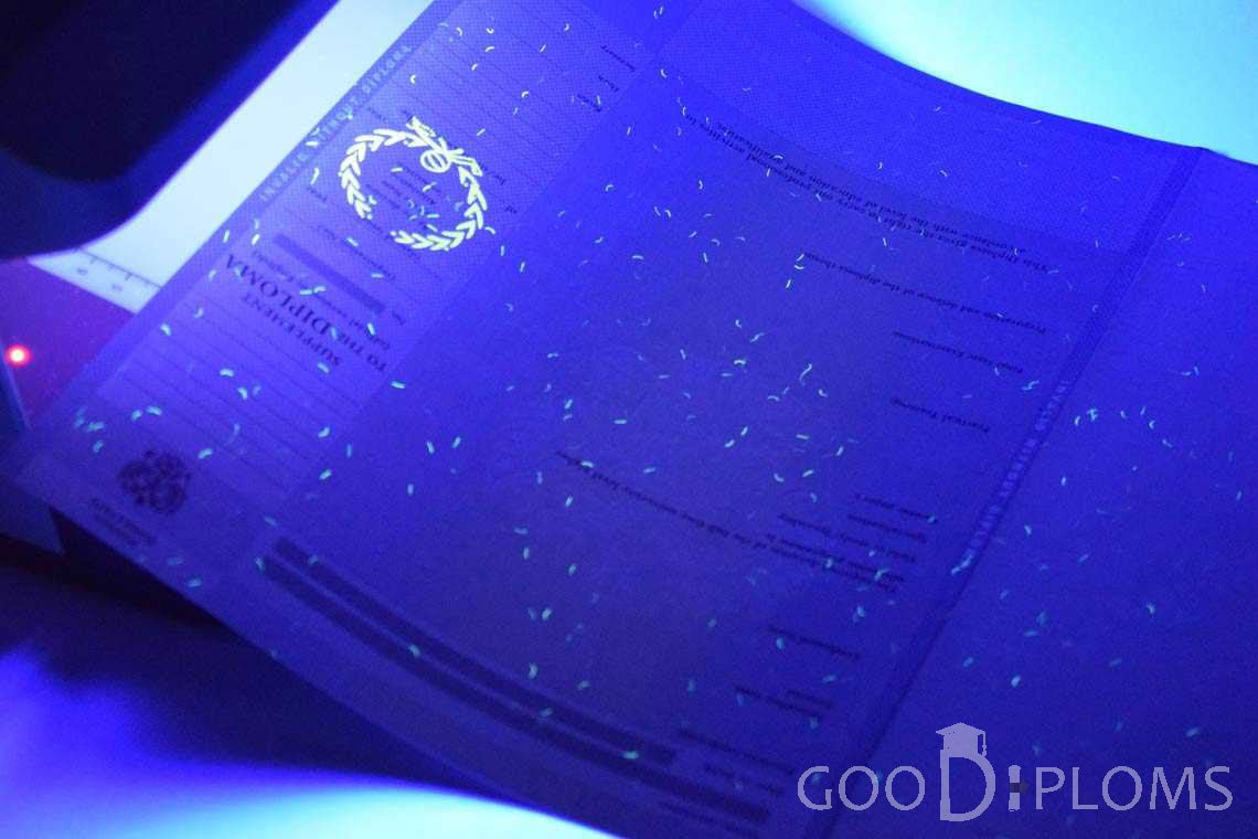 Приложение к Диплому Для Иностранных Граждан в Ультрафиолете - Луцк