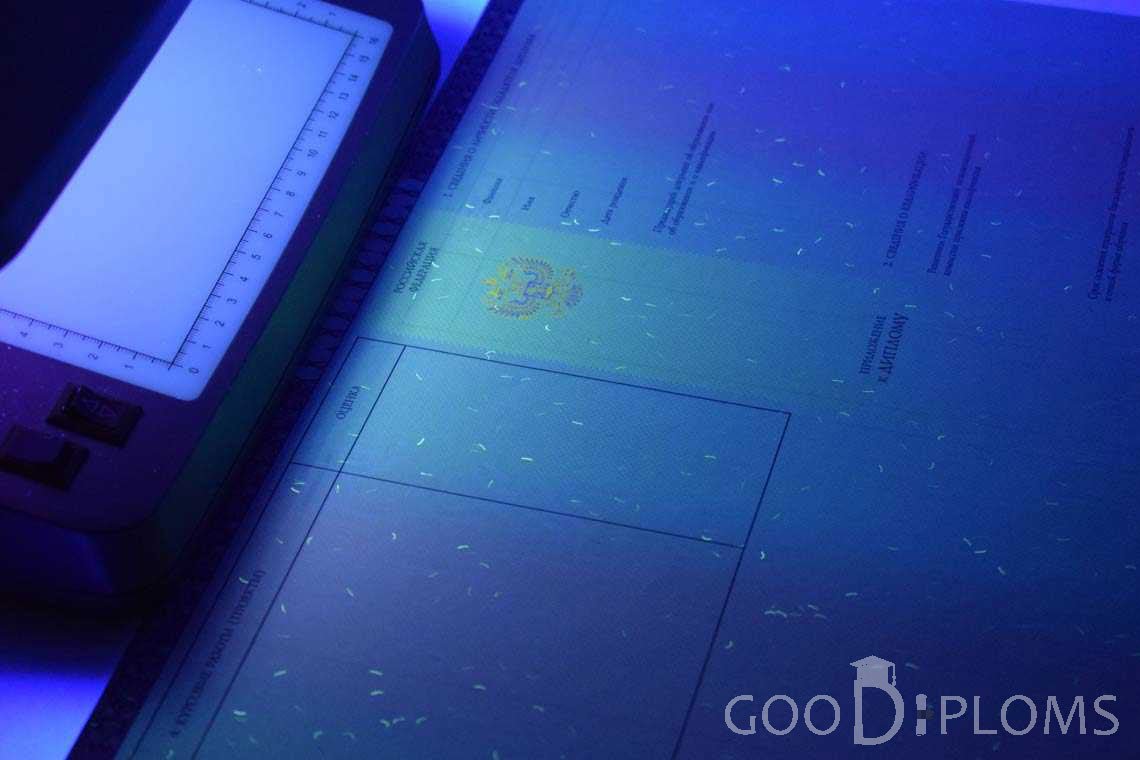Приложение к Диплому о Высшем Образовании с Отличием в Ультрафиолете - Луцк